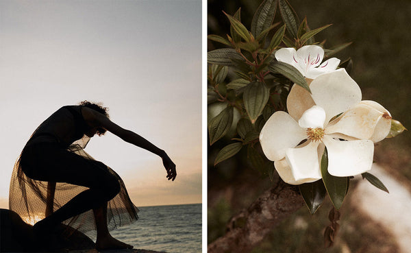 Conversations in Light | Annyck Benth