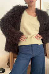 Model wearing brown winter coat with denim jeans and knit layered winter outfit inspo