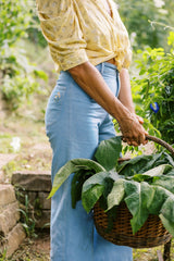 Chamomile Jean in Light Denim with a high-rise waist and relaxed wide-leg fit.